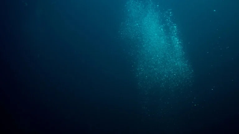 The Metals Company’s latest deep-sea mining gamble signals financial failure The Metals Company’s latest deep-sea mining gamble signals financial failure