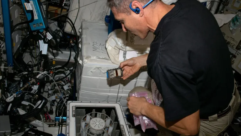 Scientists successfully mine meteorites on International Space Station — using microbes