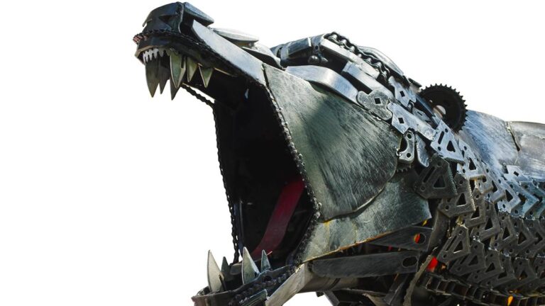 Cyclone sets out path to develop one of the world’s largest high-grade iron ore mines