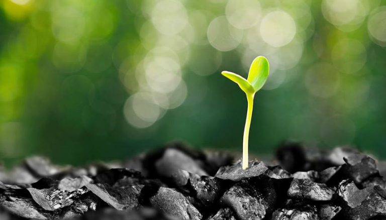 The Dangers of Green Mining The Dangers of Green Mining