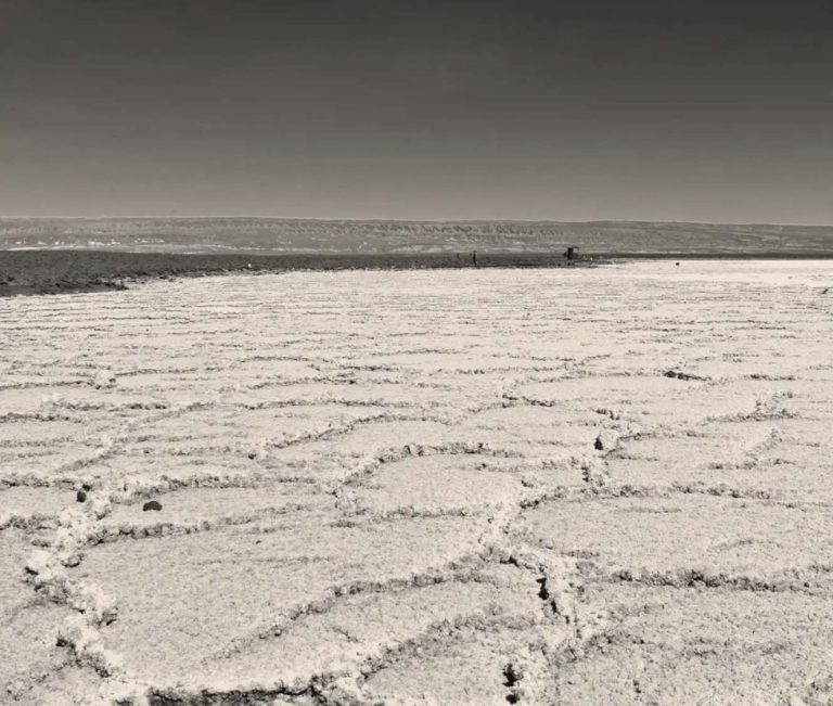 How the rise of green tech is feeding another environmental crisis