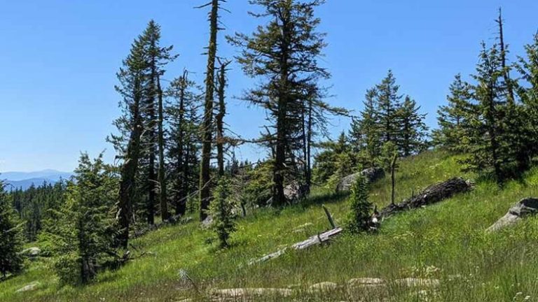 US First Nation holds up project in Canada